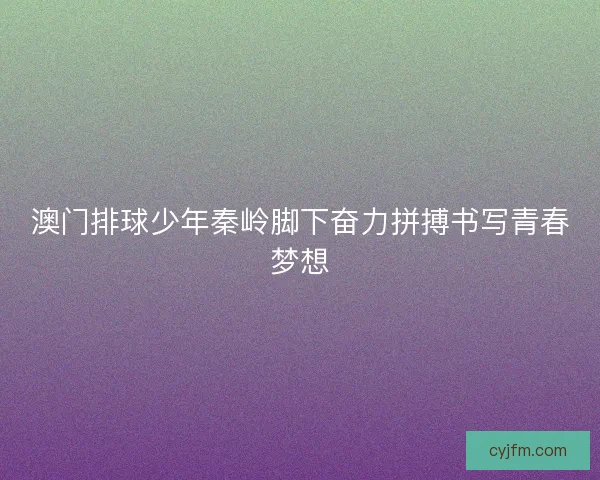 澳门排球少年秦岭脚下奋力拼搏书写青春梦想 澳门排球少年秦岭脚下奋力拼搏书写青春梦想