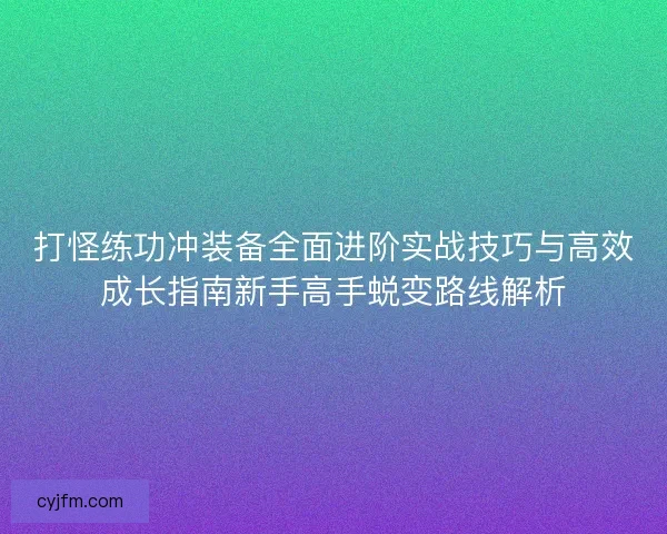 打怪练功冲装备全面进阶实战技巧与高效成长指南新手高手蜕变路线解析 打怪练功冲装备全面进阶实战技巧与高效成长指南新手高手蜕变路线解析